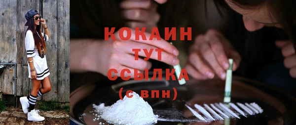 mdpv Каменногорск