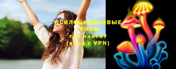 ECSTASY Каменка
