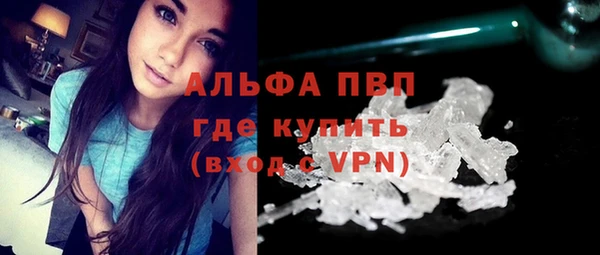 mdpv Каменногорск