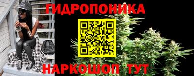 спиды Краснознаменск