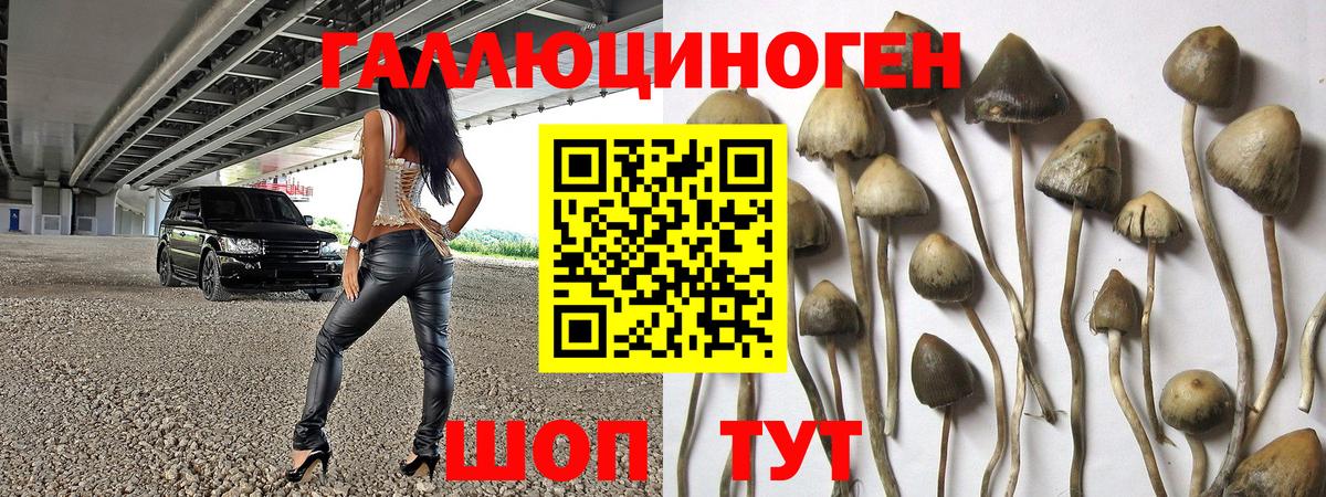 Псилоцибиновые грибы MAGIC MUSHROOMS Саранск