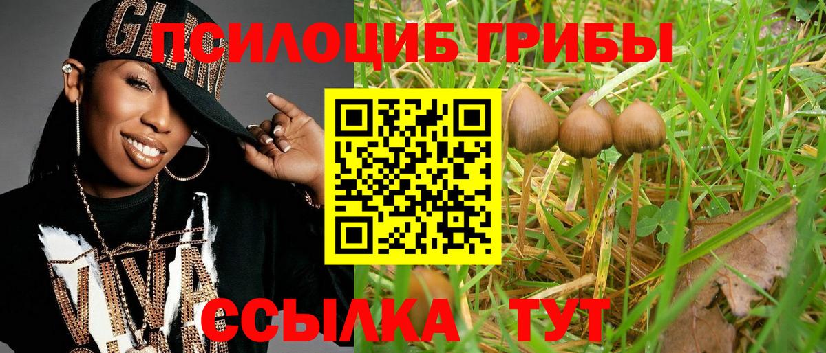 Саранск  Галлюциногенные грибы Psilocybine cubensis  Вход с VPN 