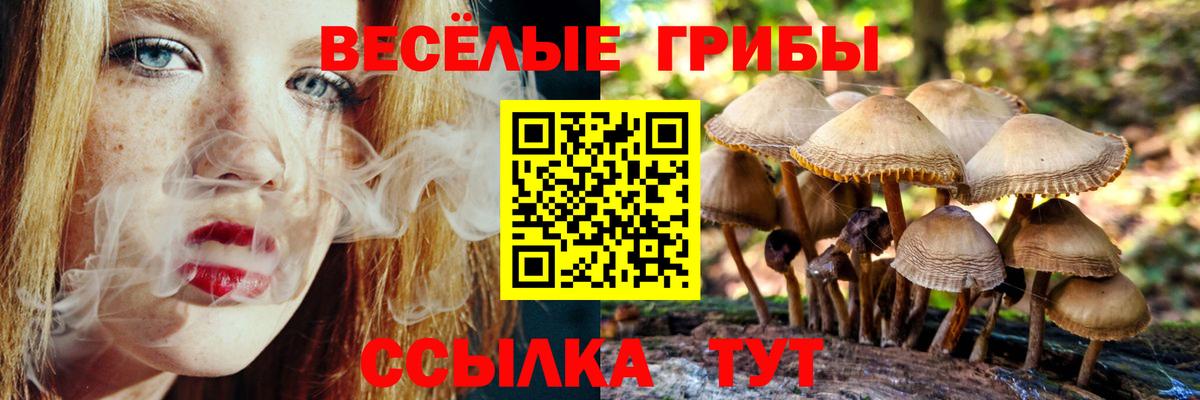 Саранск  Галлюциногенные грибы мицелий  Псилоцибиновые грибы мицелий  Вход с VPN 