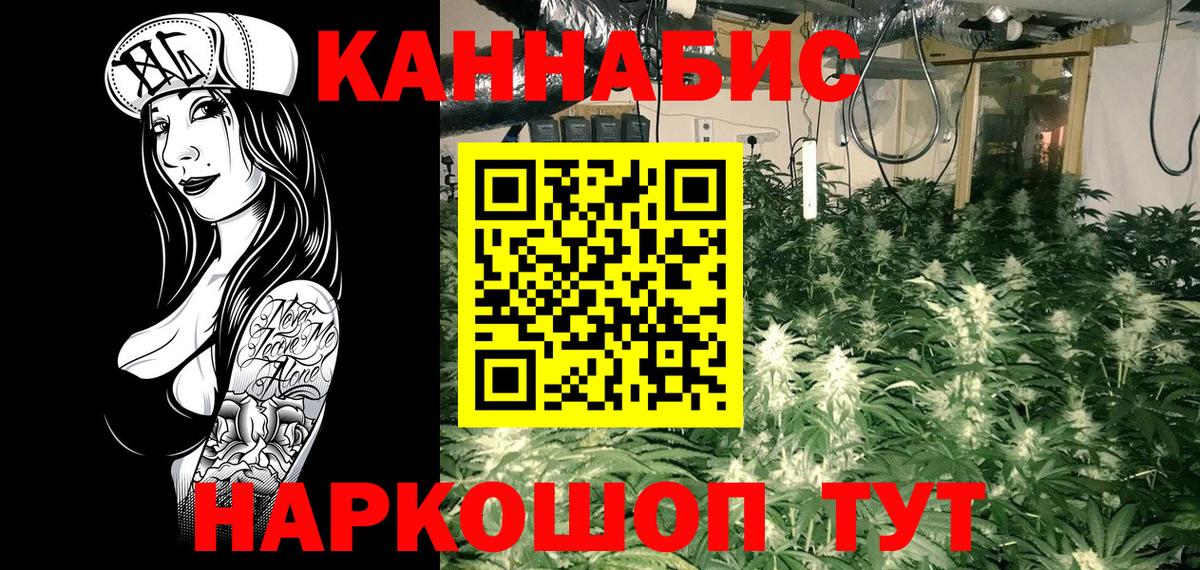 Бошки марихуана гибрид  Конопля Bruce Banner  Саранск  Вход с VPN  Конопля семена 